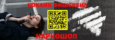 кокс Гатчина