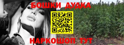 кокс Гатчина