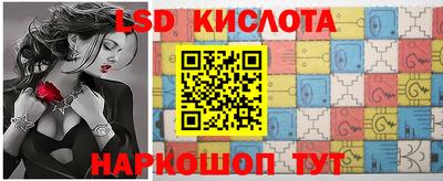 кокс Гатчина