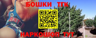 кокс Гатчина