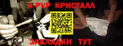 кокс Гатчина