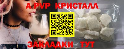 кокс Гатчина
