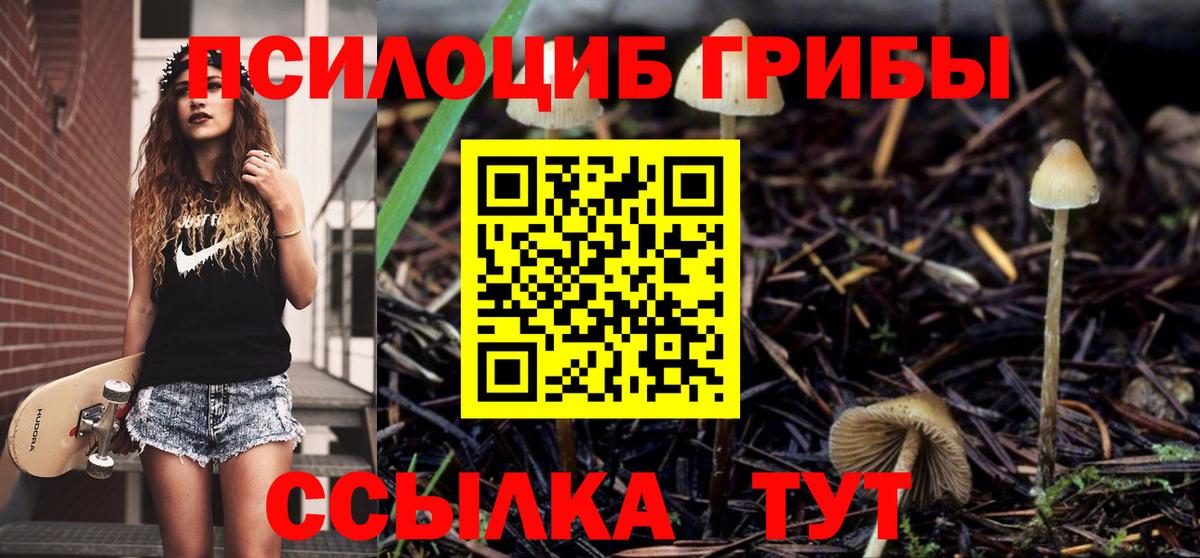 Омск  Галлюциногенные грибы ЛСД  Вход с VPN  Галлюциногенные грибы GOLDEN TEACHER 