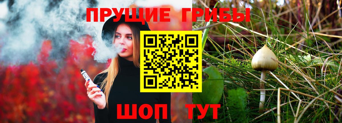Псилоцибиновые грибы Cubensis Омск